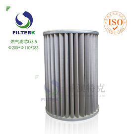Natrual-Gas-Patrone filtert G-Reihe mit Polyester-Nadelfilz 400g/m2 G2.0